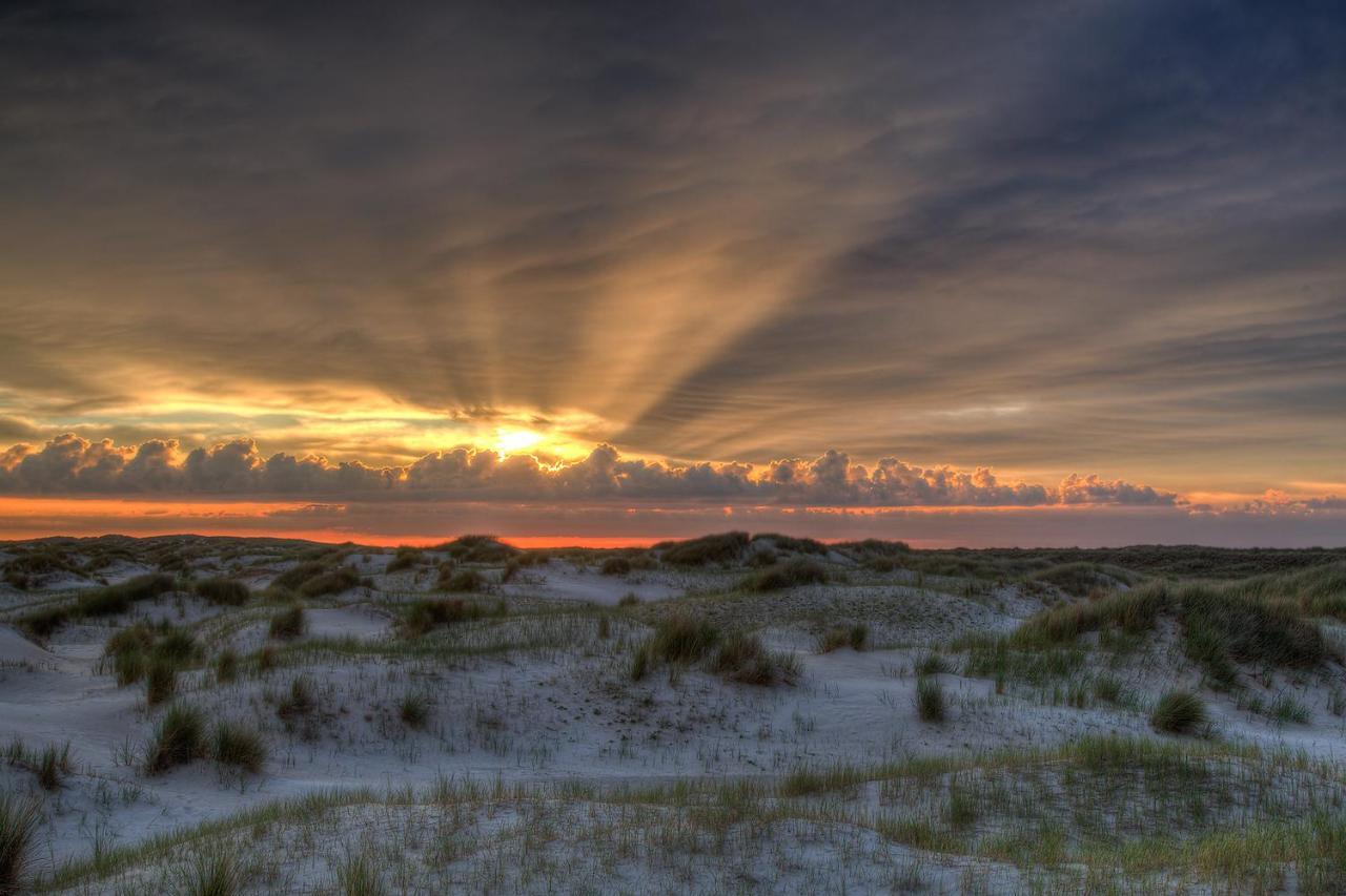 Zeelucht Texel Villa De Koog  Kültér fotó