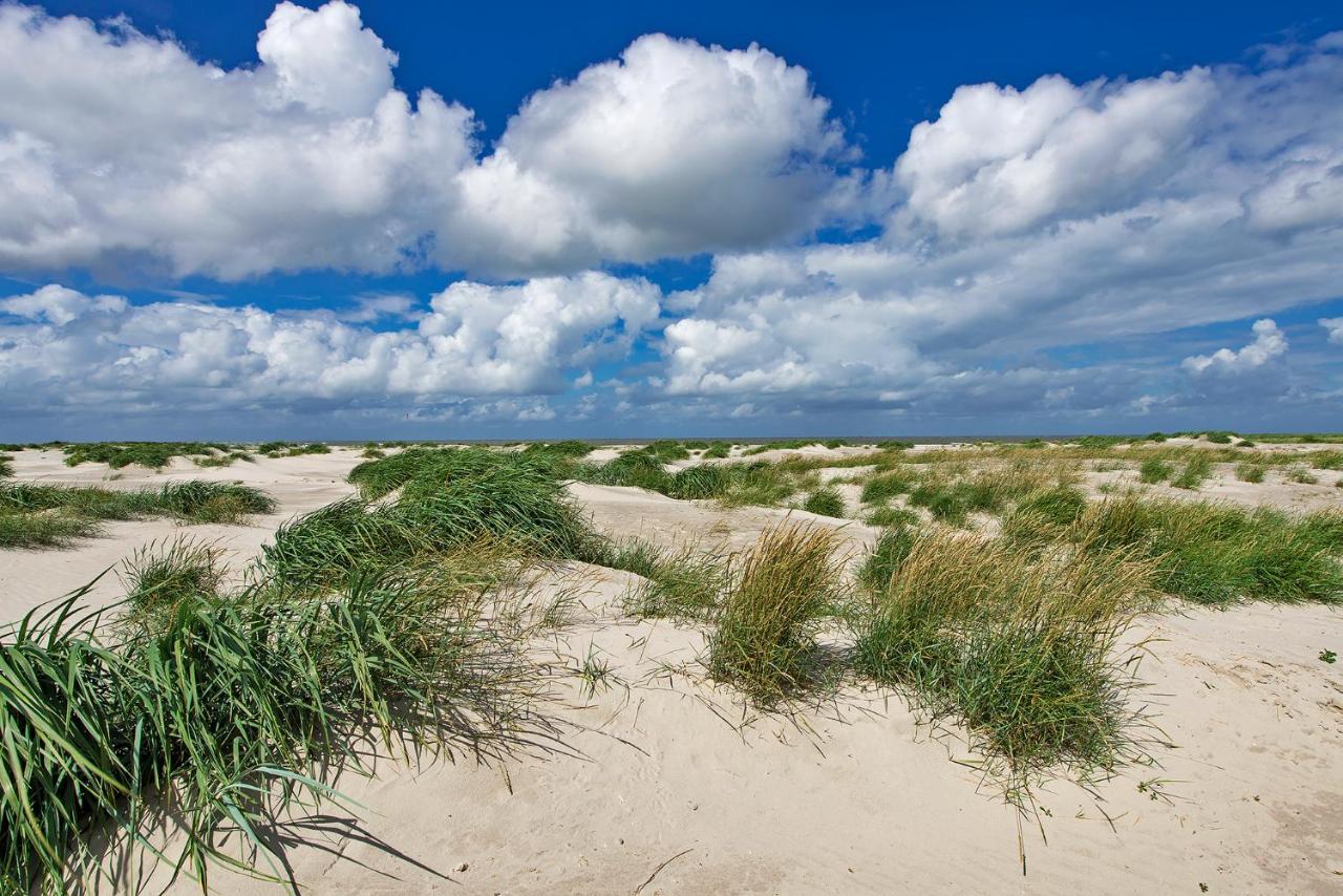 Zeelucht Texel Villa De Koog  Kültér fotó