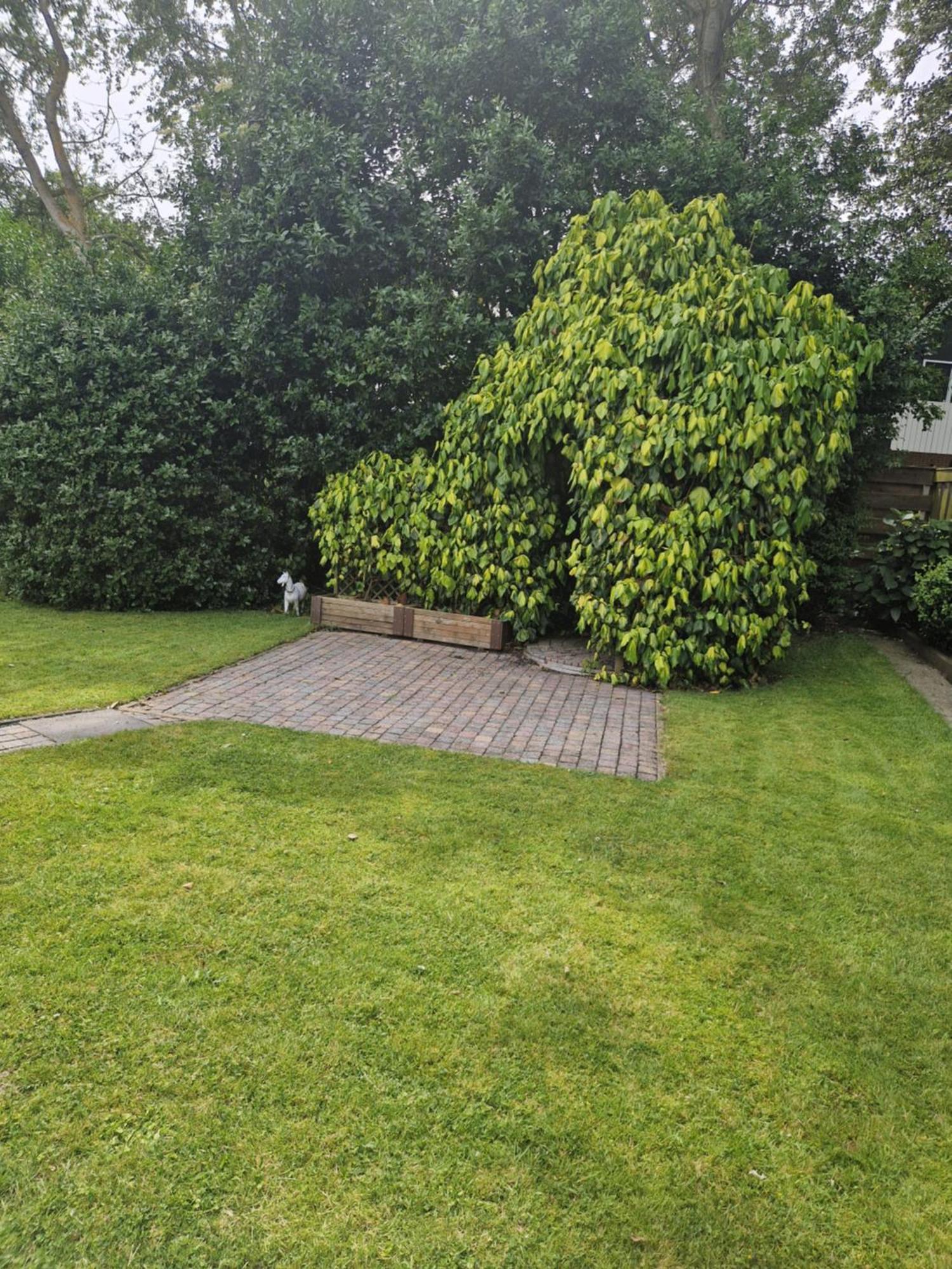 Zeelucht Texel Villa De Koog  Kültér fotó